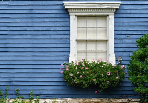 Blue painted wood siding with white window trim and a flower box on a coastal home exterior